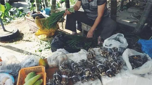 心水高手论坛资料大全最新