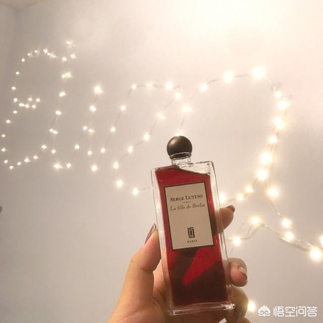 电视剧暗夜与黎明免费观看